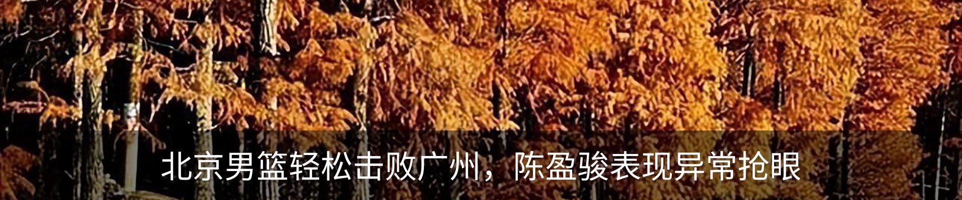 内页banner